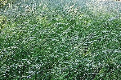 《灵活脑学校 一起伸展大脑》发布中文CM 游戏12月3日发售